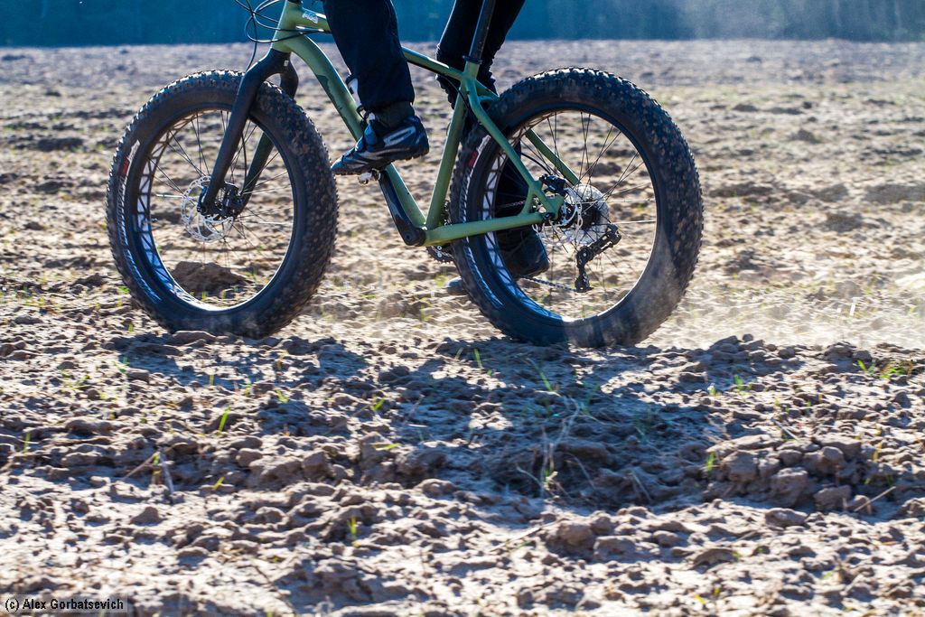 ������ ����� ��������