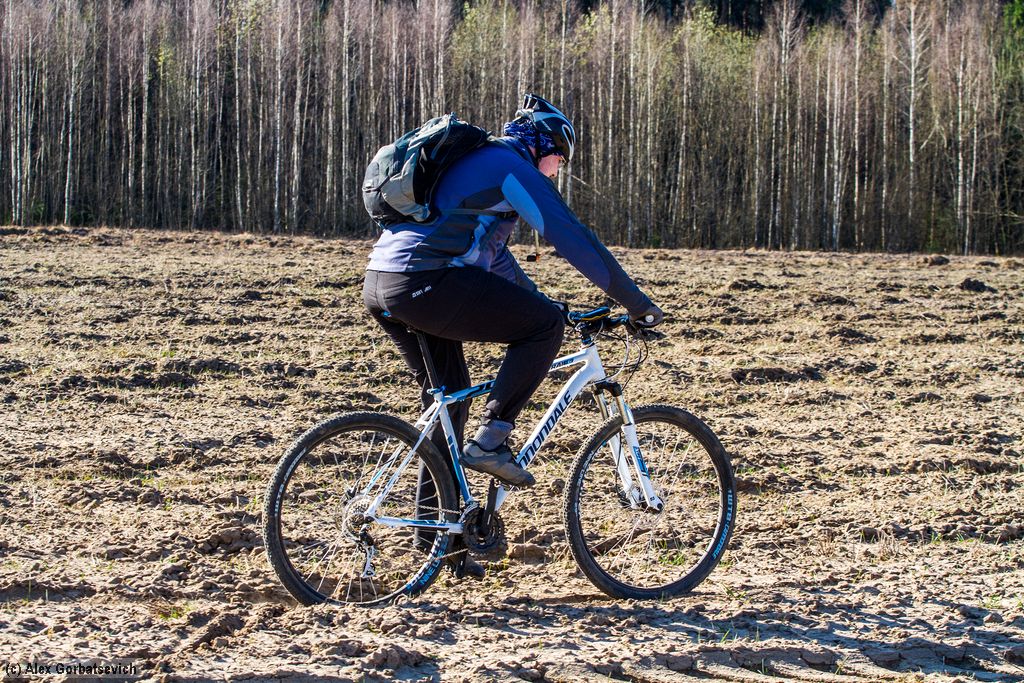 ������ ����� ��������