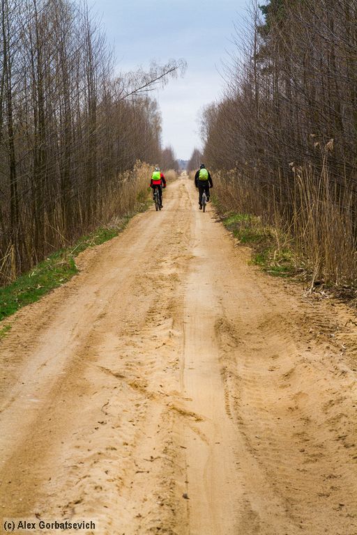 �� ������ ������