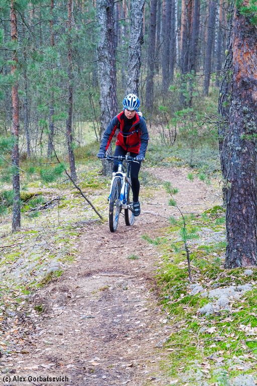 �� ��������