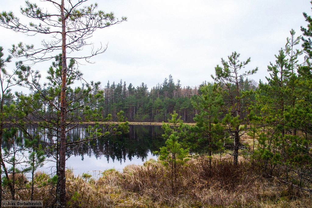 ��. ��������