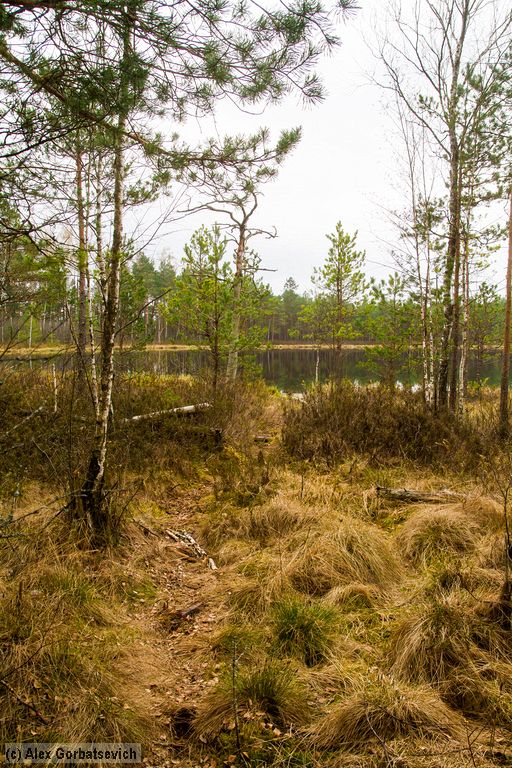 ������ � �� ��������