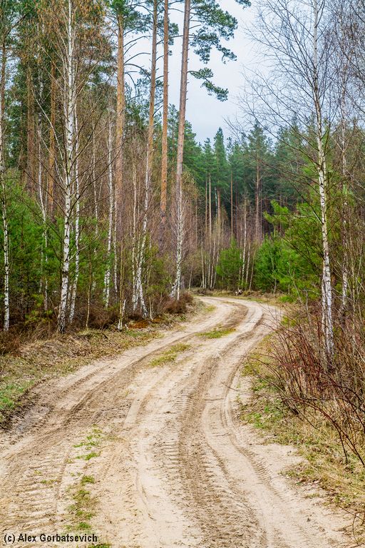 �������� ������