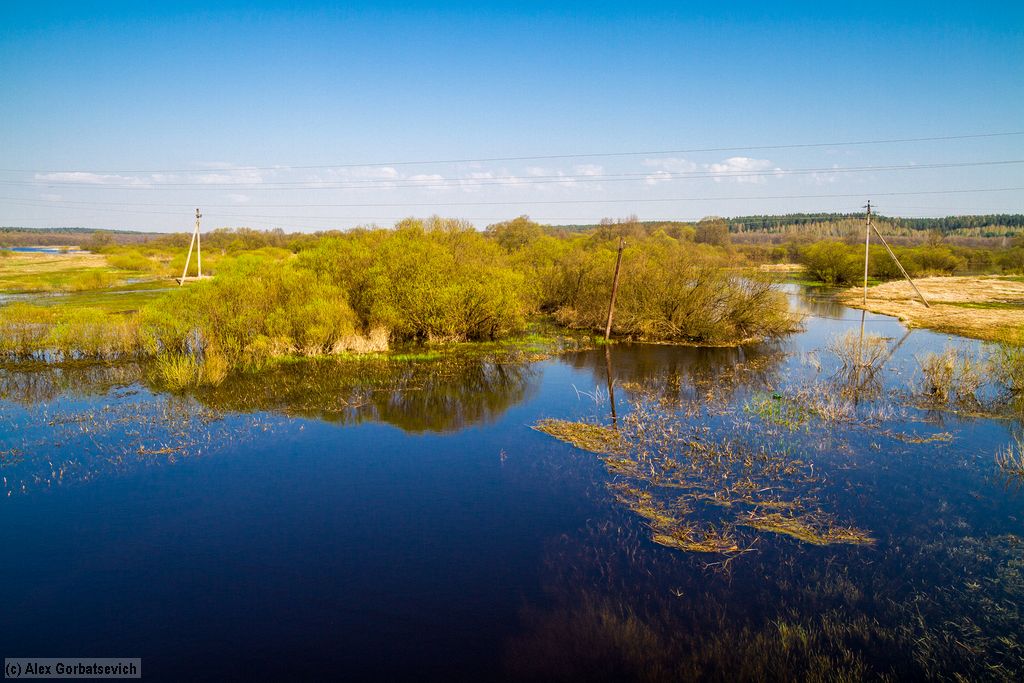 �. ������