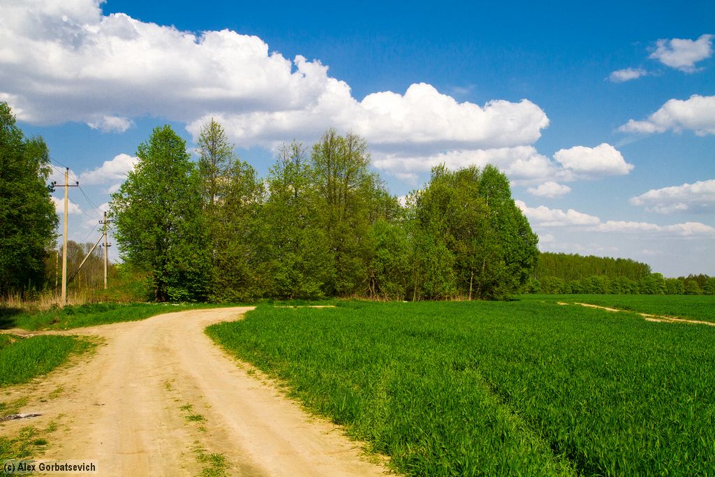 ������� ������