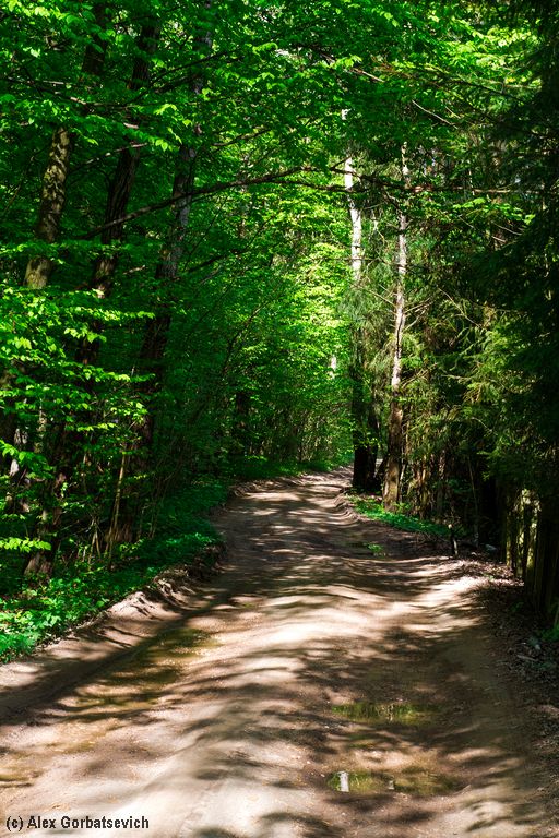 ������ �������