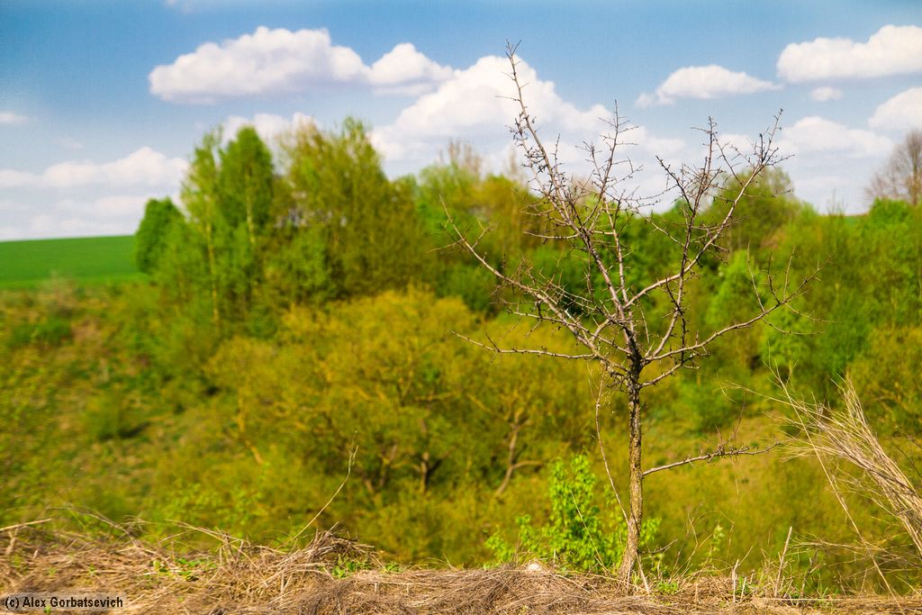 �� ���� ������