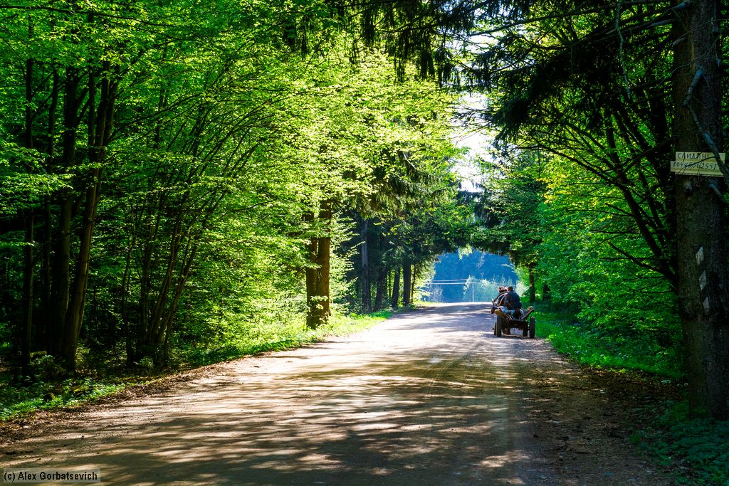 ����� ������