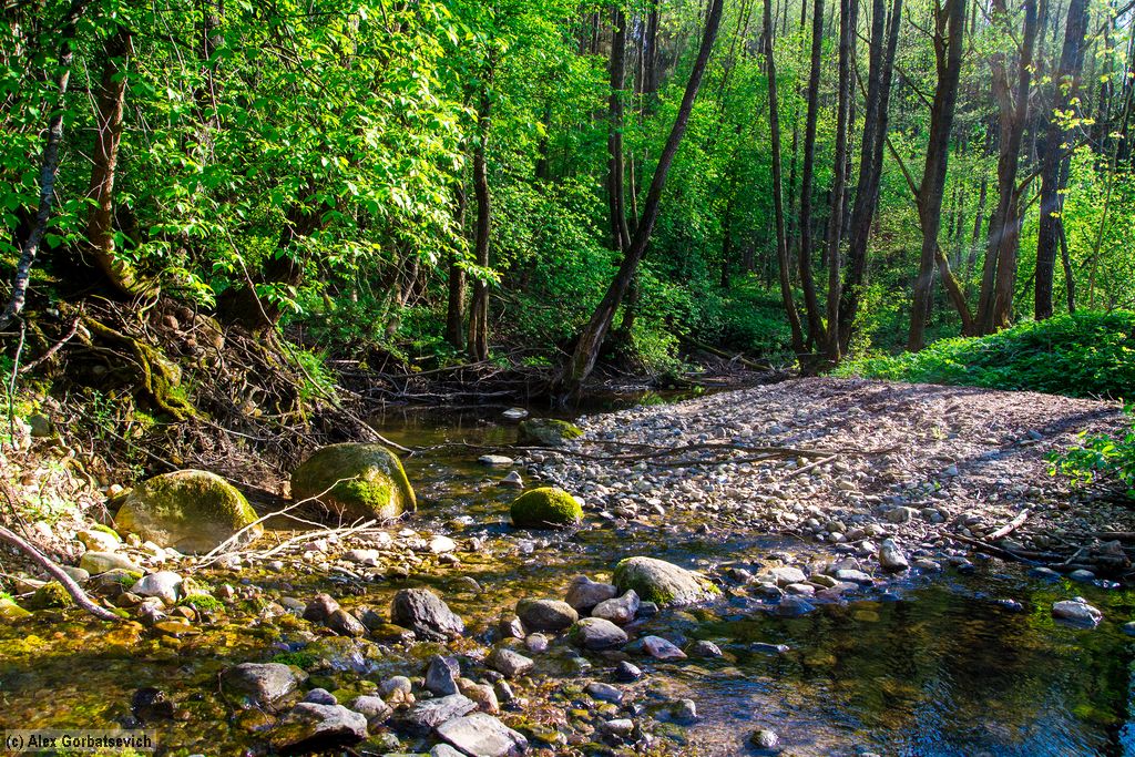 ������ �����