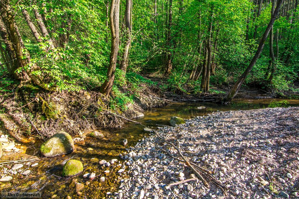 ������ �����