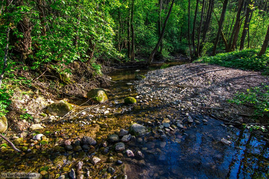 ������ �����