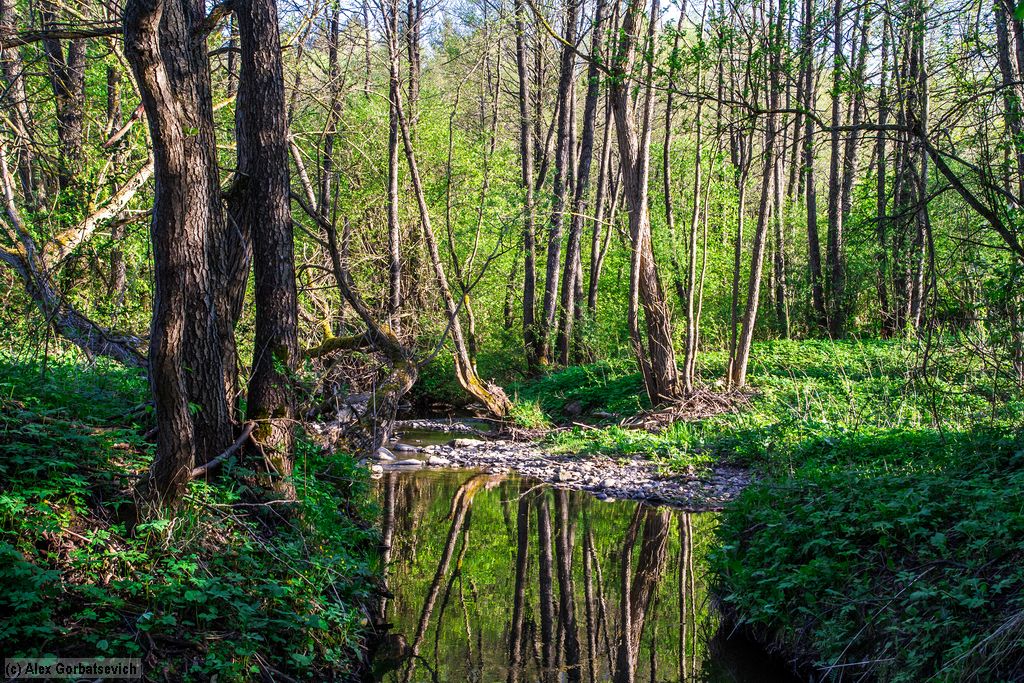 ������ �����