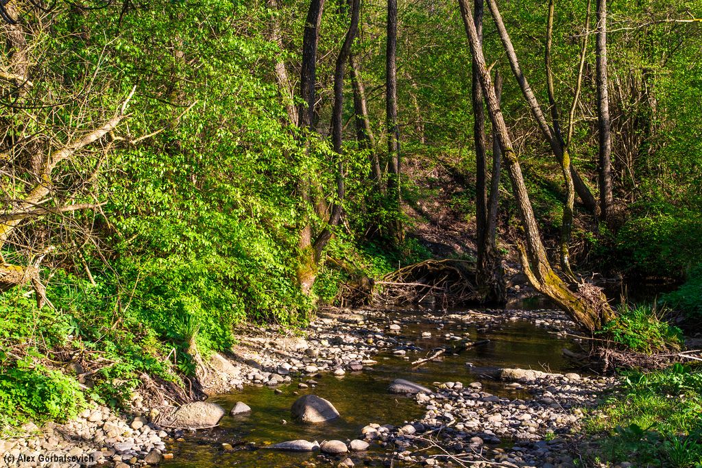 ������ �����