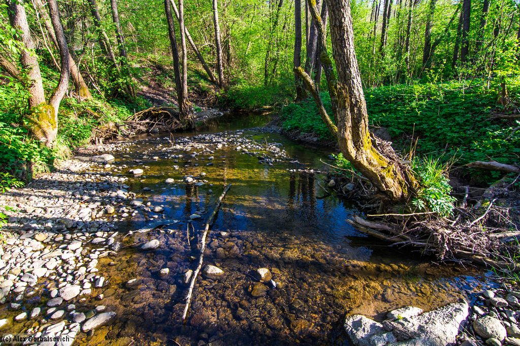 ������ �����