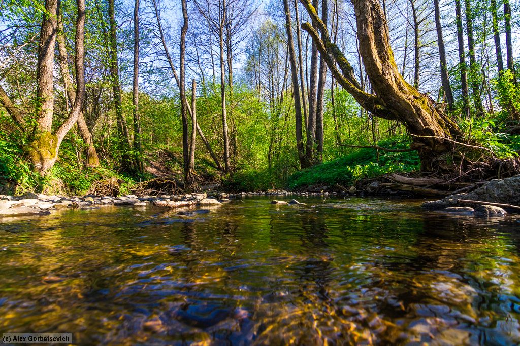 ������ �����