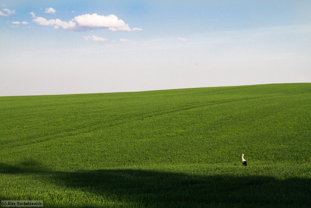 ��������� �� ������