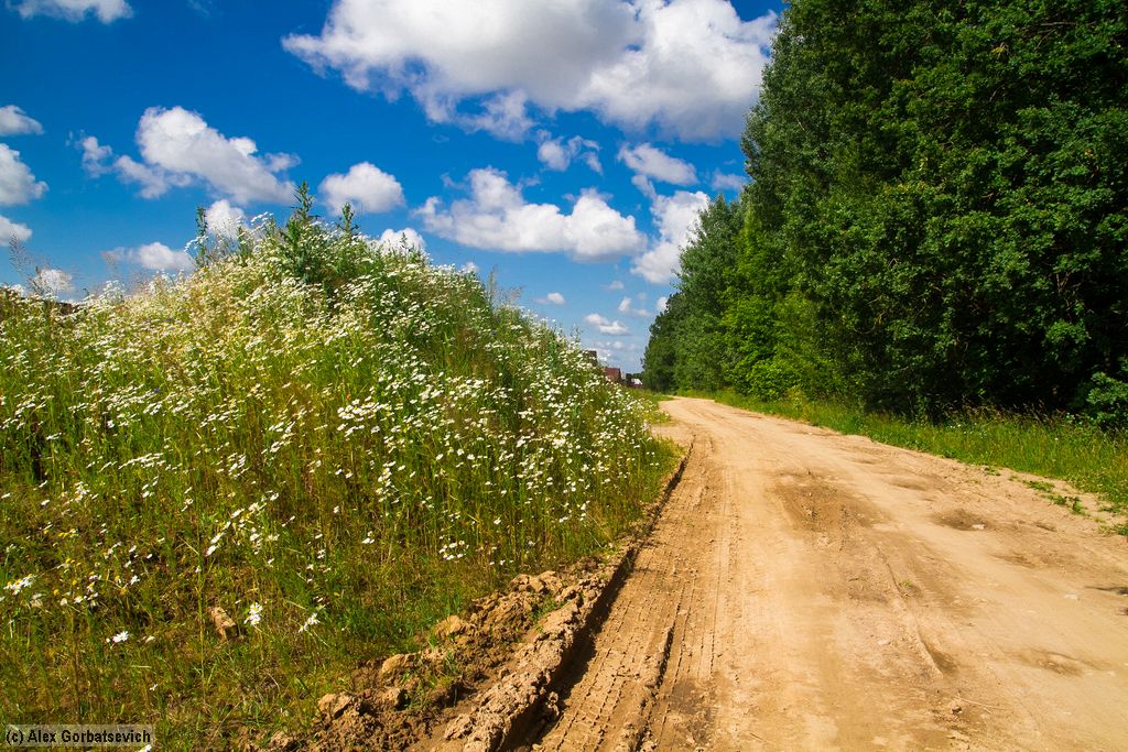 ���� �������