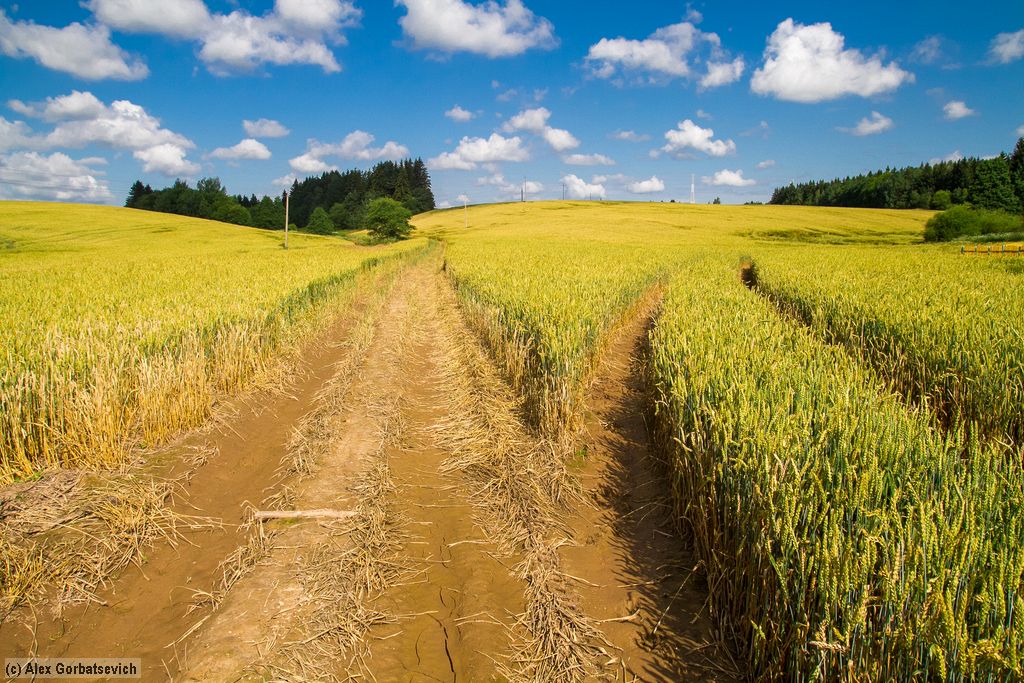 ������� ��������