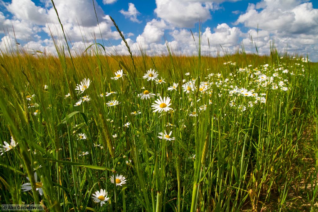 ������� � ������