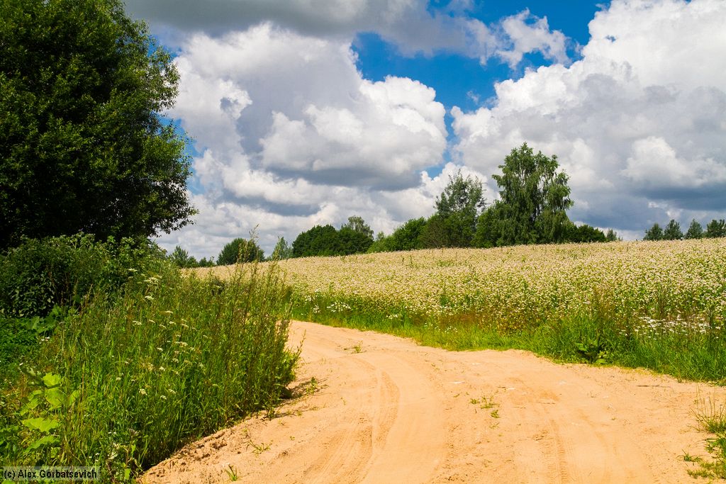 ���� �������