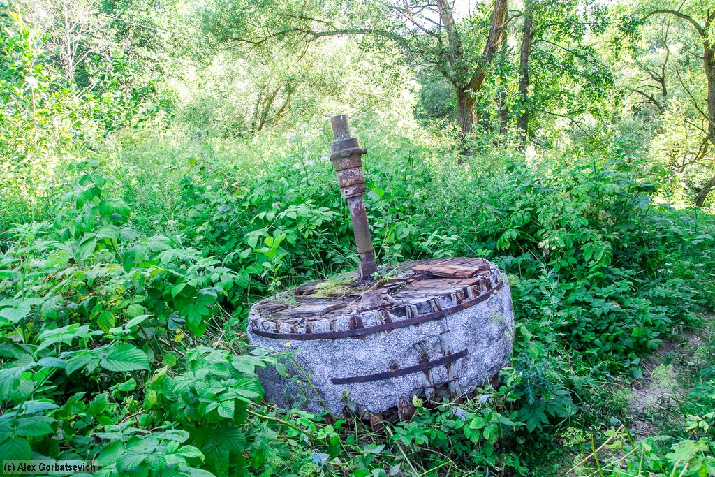 ������ ��������