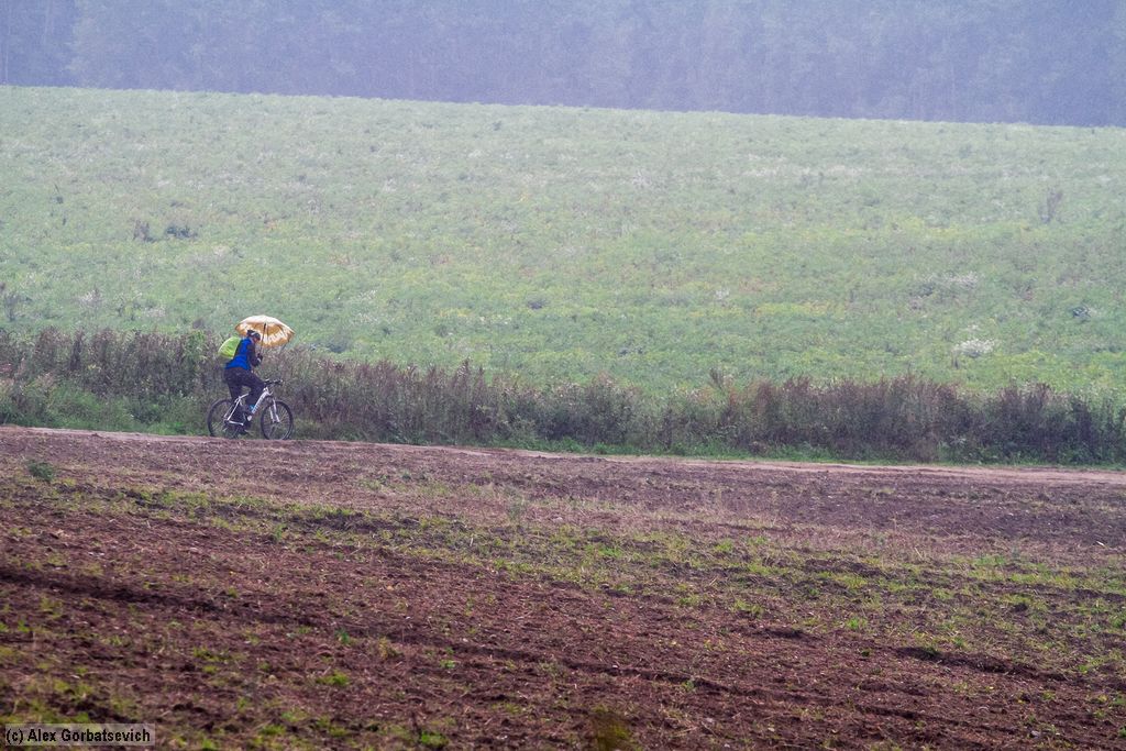 ��� ������