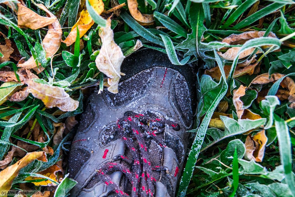 ���� ������