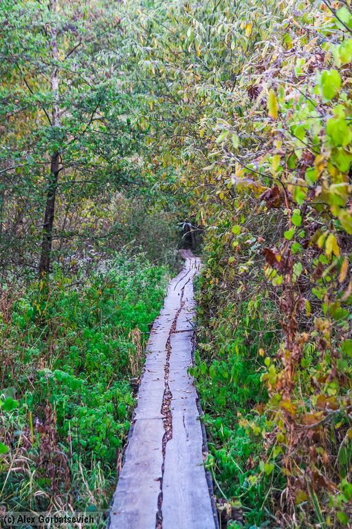 ����� �����