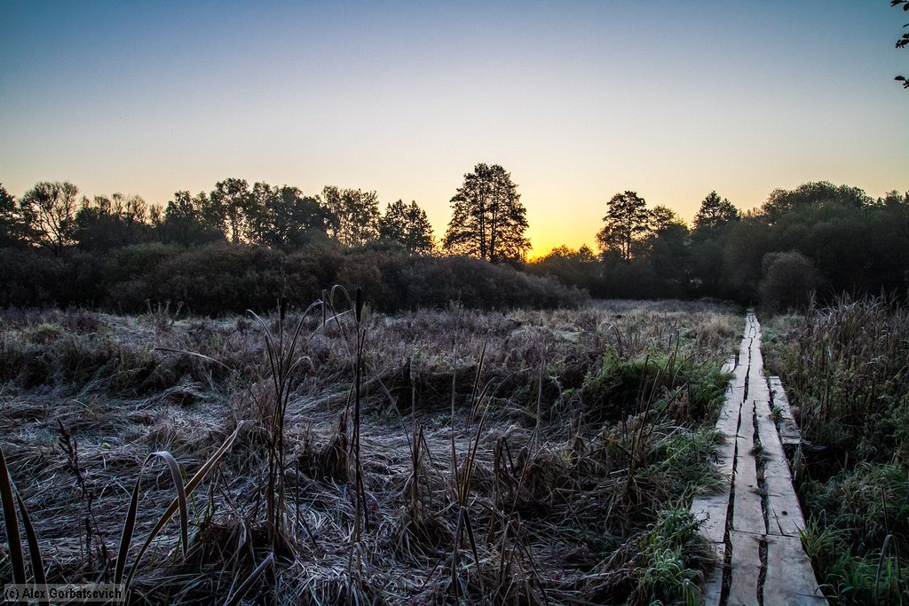 ���� ����� ������