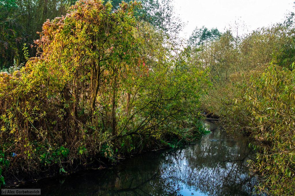 �. ��������