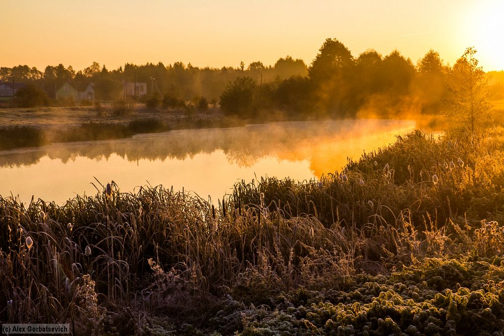 �� ��������