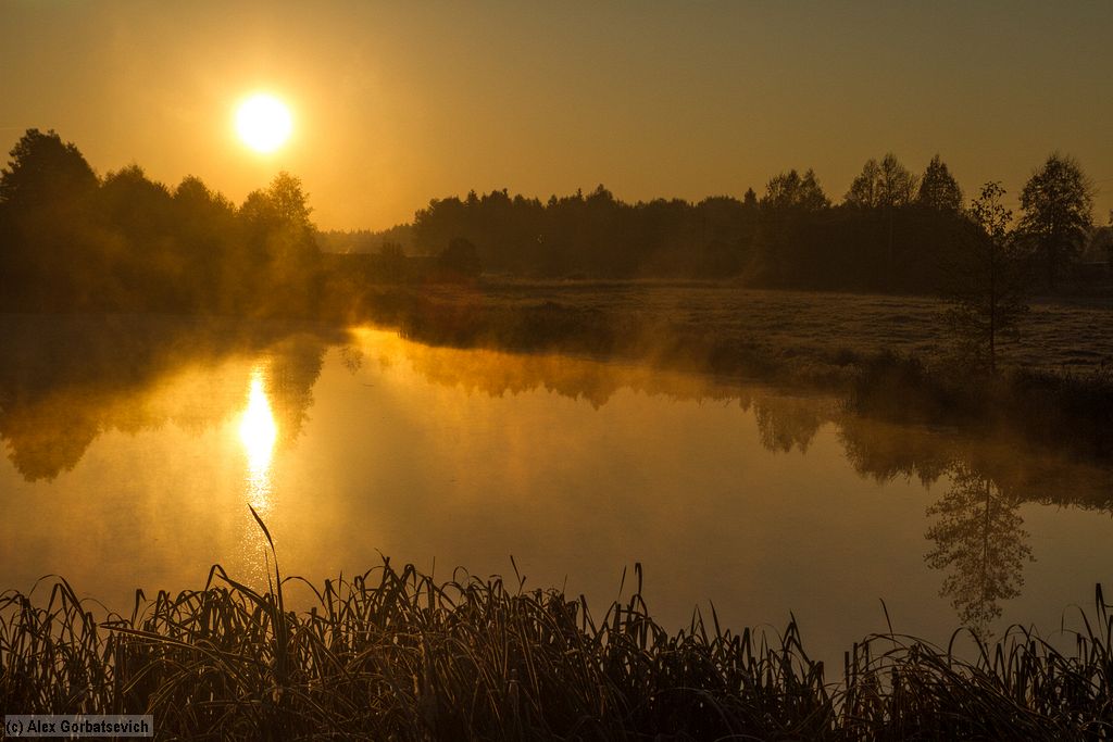 �� ��������