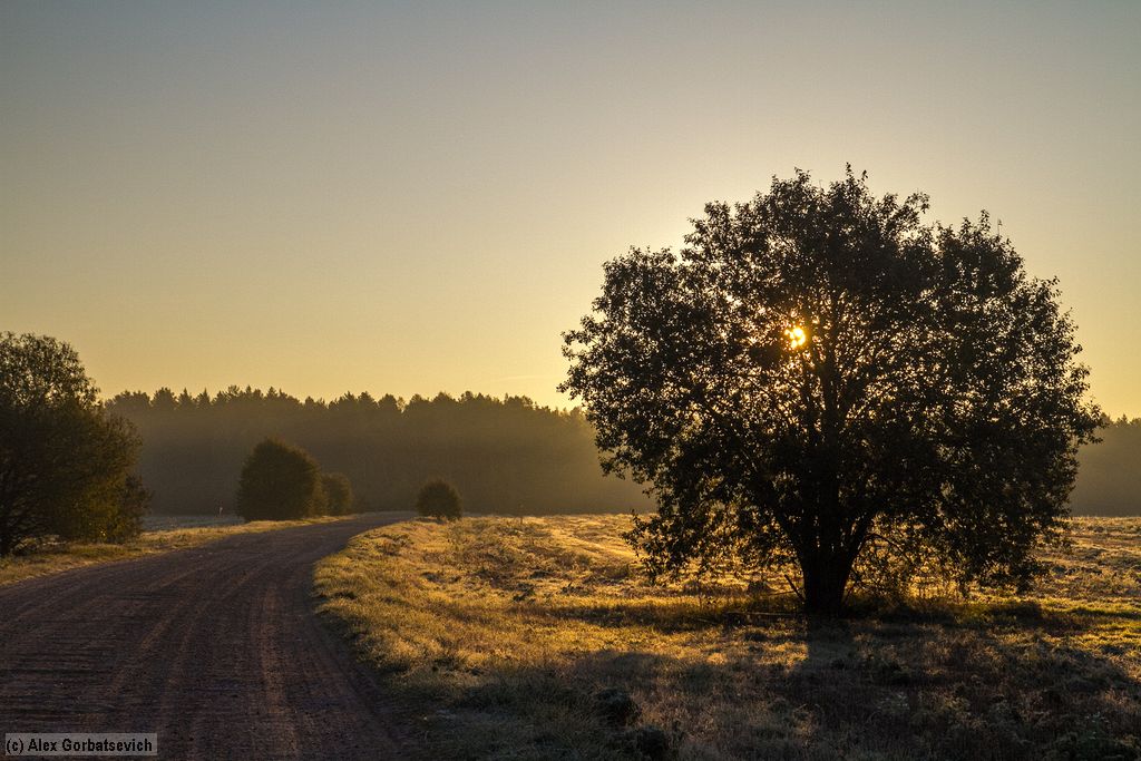 �� ��������