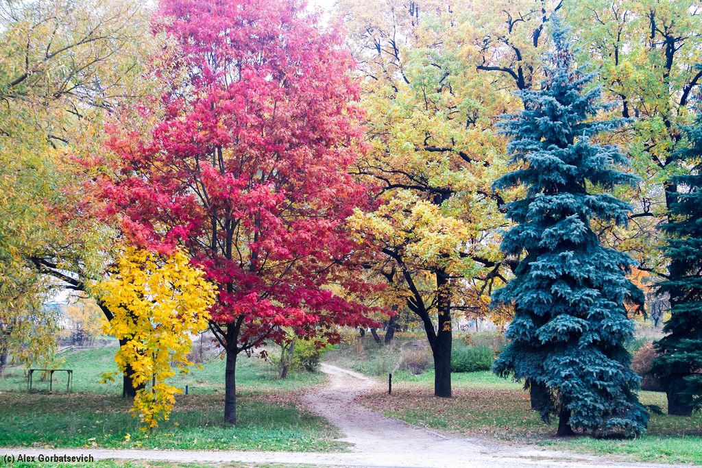 ������ �����