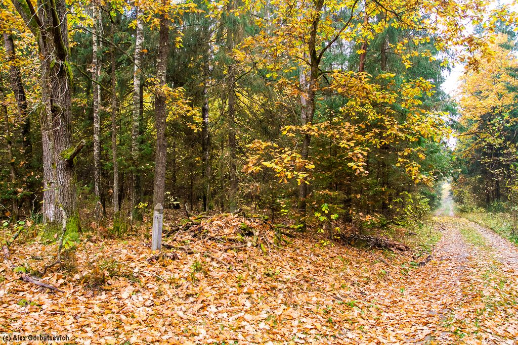 ������ ������