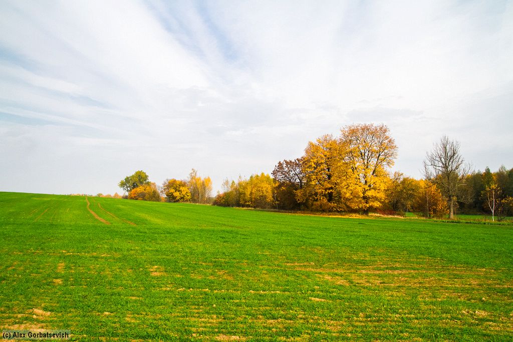 ����� ������