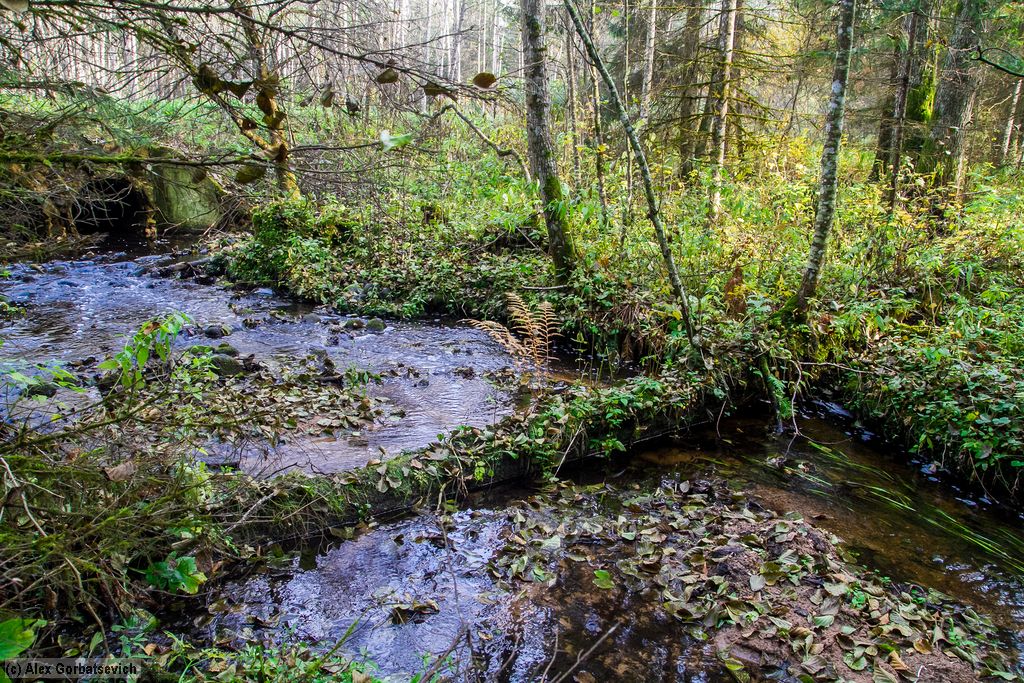 ������ �����