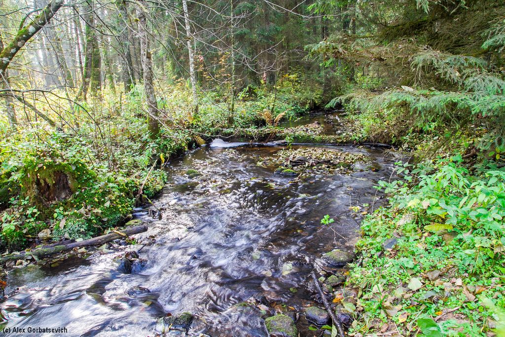 ������ �����