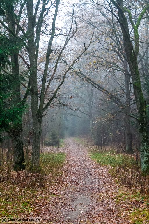 � �������