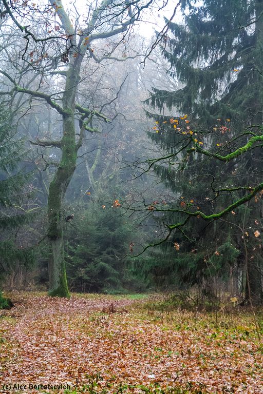 � �������