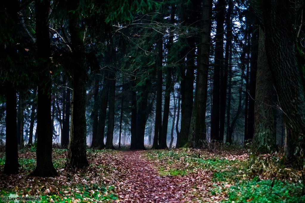 ���������� ���