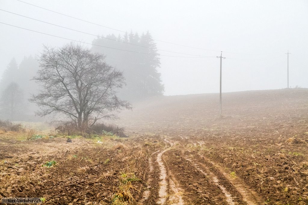 ������� ������