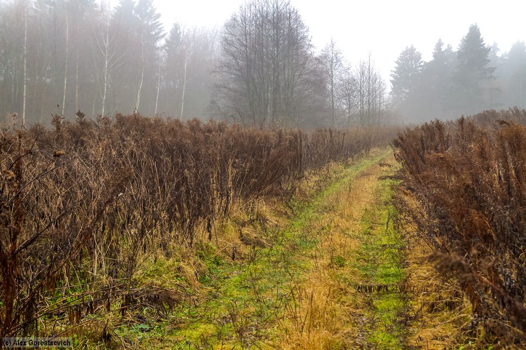 ������� ������