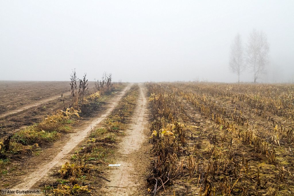 ������� ������