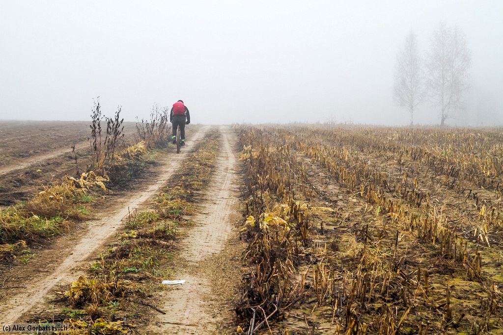 �� ������