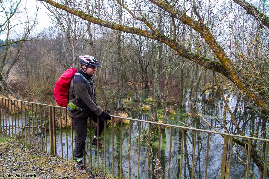 ���� �������������