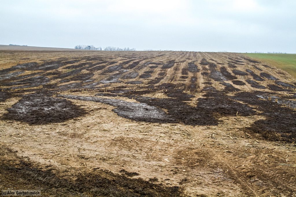 �����������, ��� ������ ������