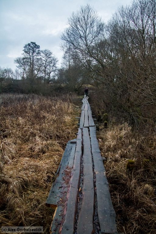 �� �������