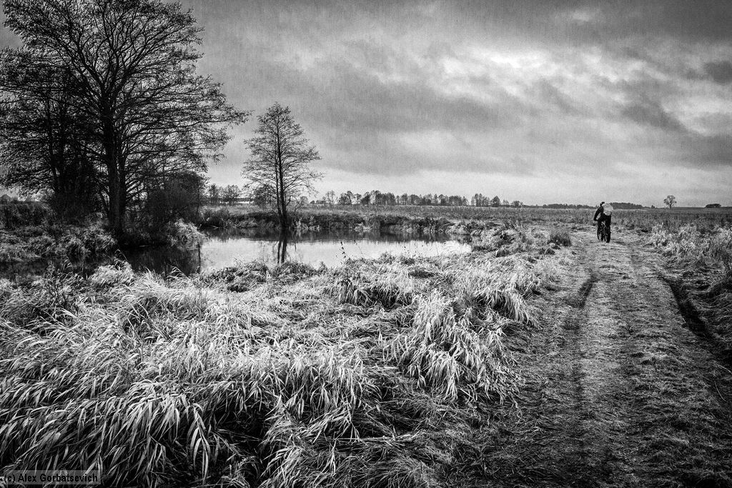 �� ������