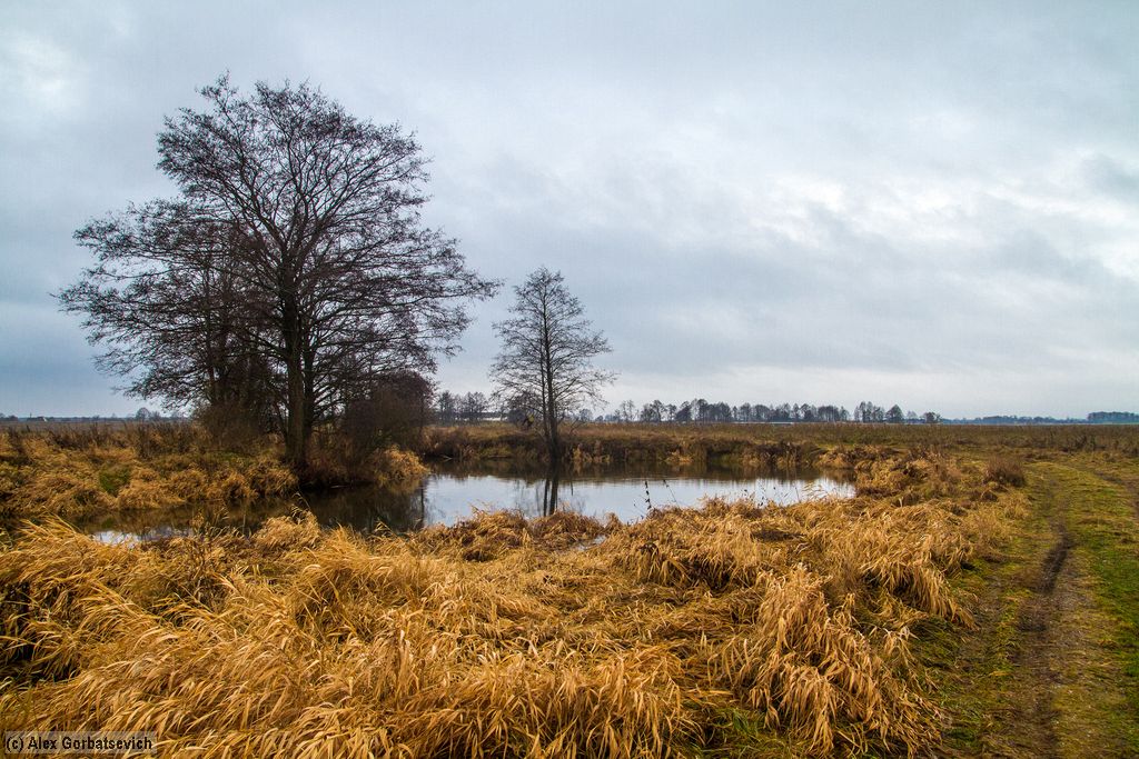 ����� ���� ����